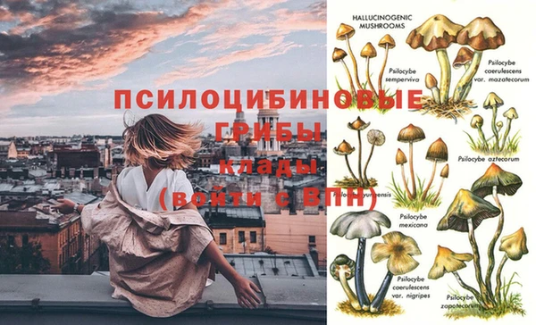 Альфа ПВП Навашино